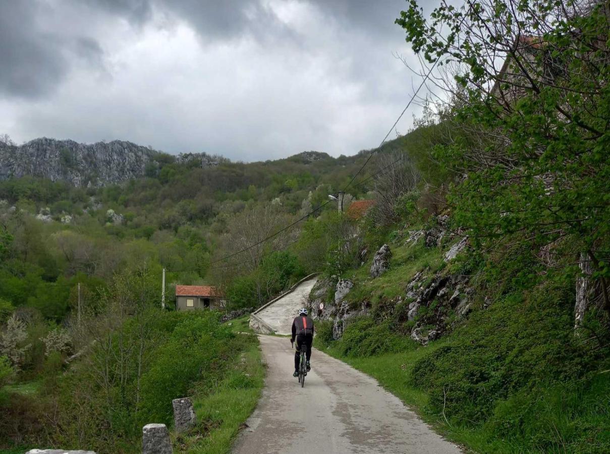 Konak Ugnji-Village Cetinje Exterior photo