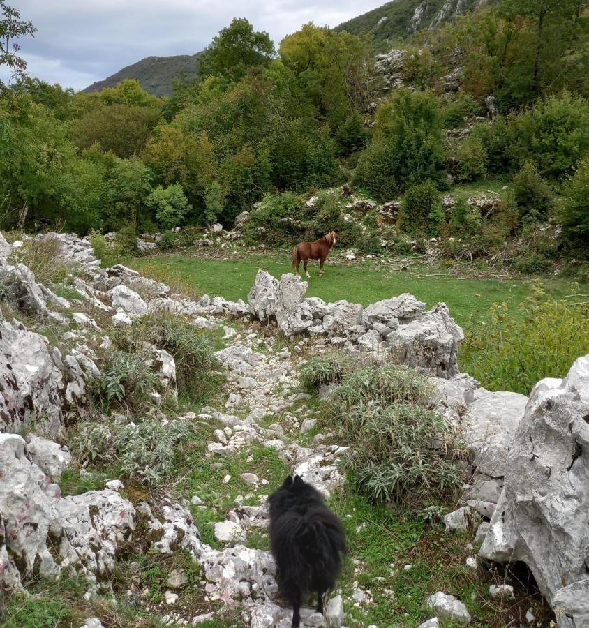 Konak Ugnji-Village Cetinje Exterior photo